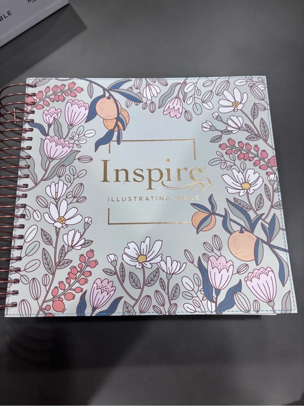 Inspire Illustrating Bible Floral Spiral Journal - Pastel Blue/Pink